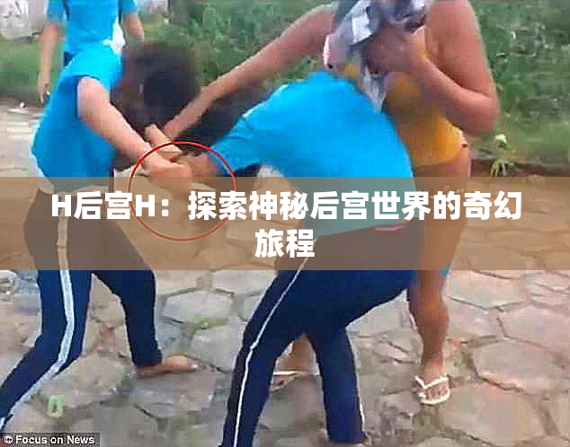 H后宫H：探索神秘后宫世界的奇幻旅程