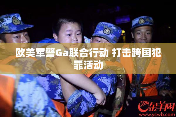 欧美军警Ga联合行动 打击跨国犯罪活动
