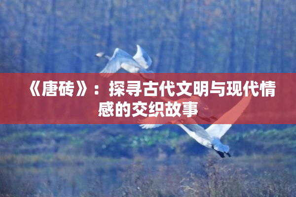 《唐砖》：探寻古代文明与现代情感的交织故事