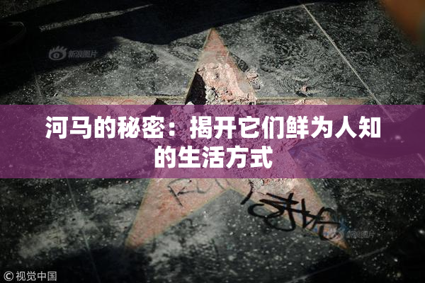 河马的秘密：揭开它们鲜为人知的生活方式