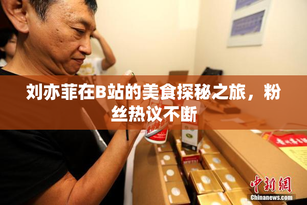 刘亦菲在B站的美食探秘之旅，粉丝热议不断