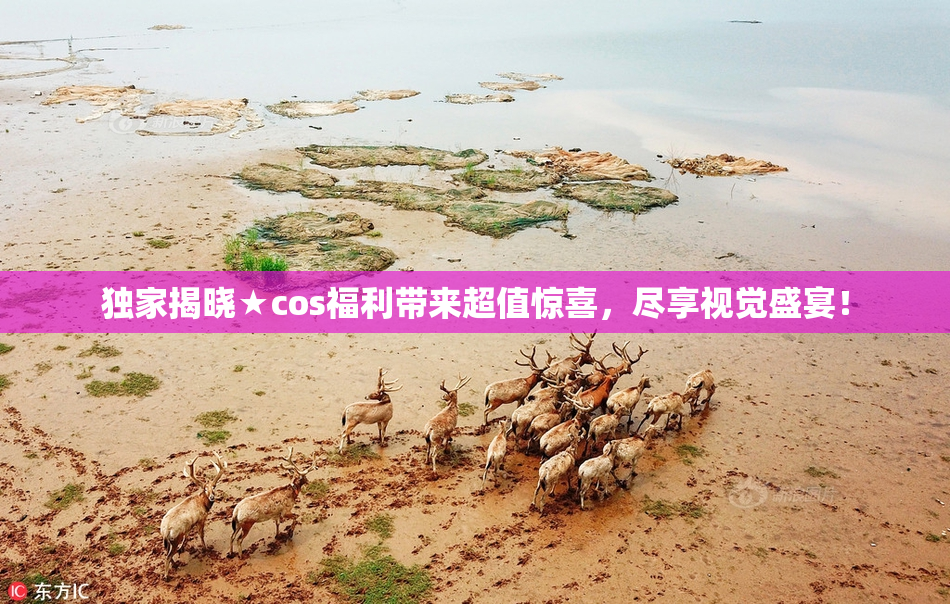 独家揭晓★cos福利带来超值惊喜，尽享视觉盛宴！