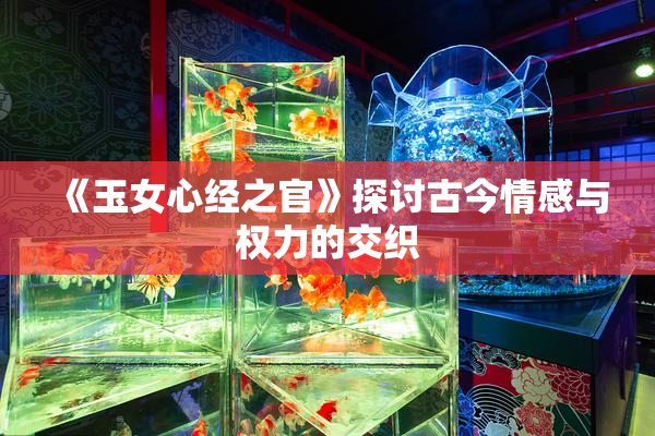 《玉女心经之官》探讨古今情感与权力的交织