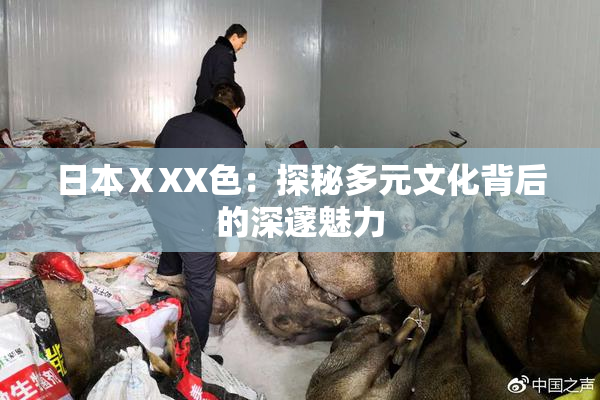 日本ⅩXX色：探秘多元文化背后的深邃魅力