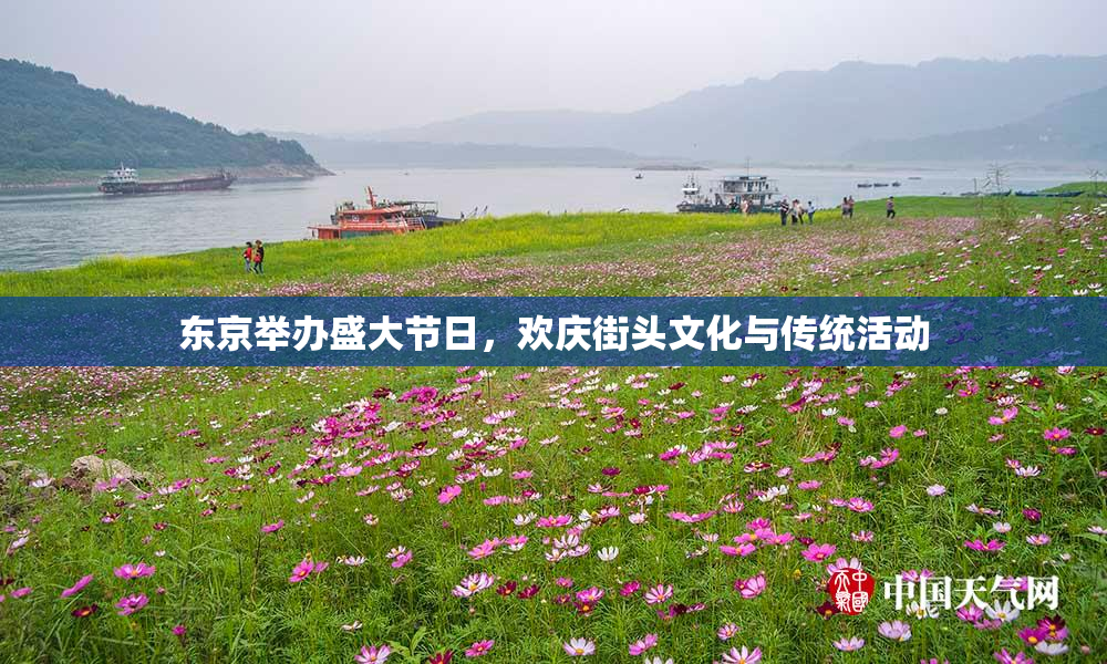 东京举办盛大节日，欢庆街头文化与传统活动