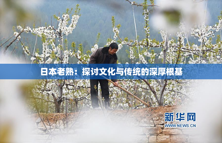 日本老熟：探讨文化与传统的深厚根基