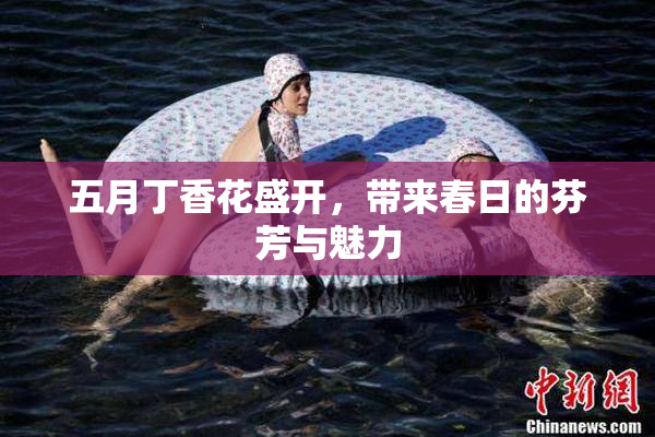 五月丁香花盛开，带来春日的芬芳与魅力