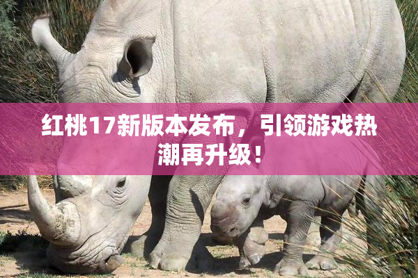红桃17新版本发布，引领游戏热潮再升级！