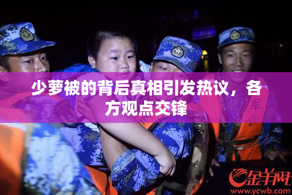 少萝被的背后真相引发热议，各方观点交锋