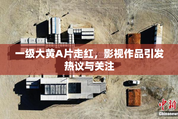 一级大黄A片走红，影视作品引发热议与关注