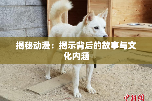 揭秘动漫：揭示背后的故事与文化内涵