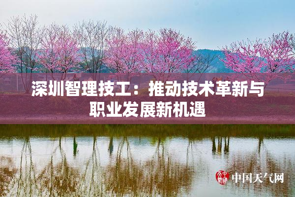 深圳智理技工：推动技术革新与职业发展新机遇