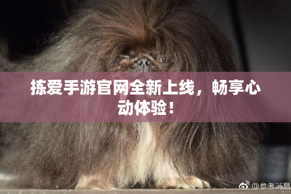 拣爱手游官网全新上线，畅享心动体验！