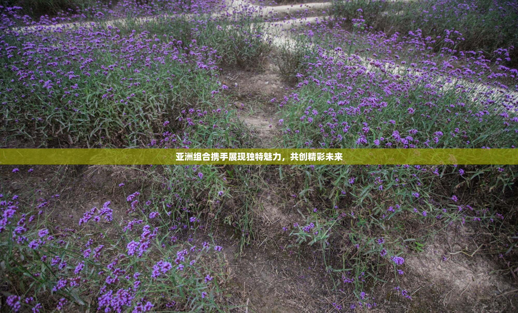 亚洲组合携手展现独特魅力，共创精彩未来