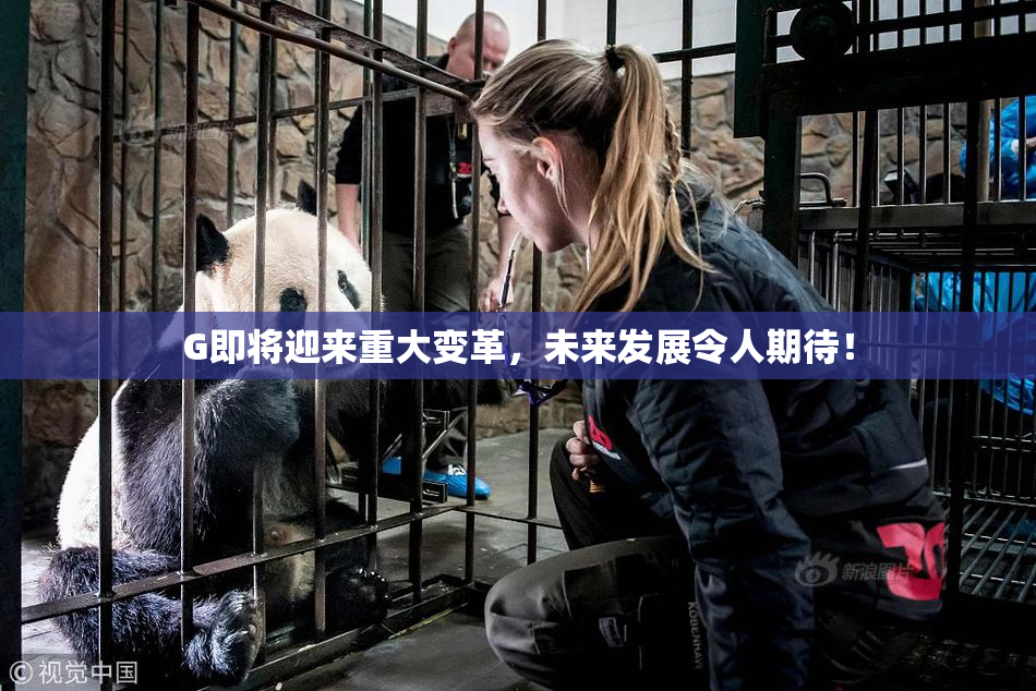 G即将迎来重大变革，未来发展令人期待！