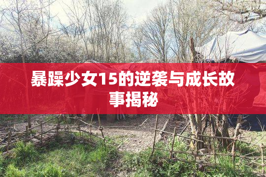 暴躁少女15的逆袭与成长故事揭秘