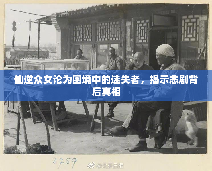 仙逆众女沦为困境中的迷失者，揭示悲剧背后真相