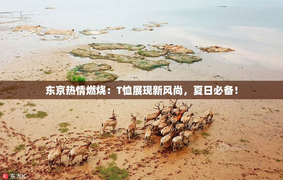 东京热情燃烧：T恤展现新风尚，夏日必备！