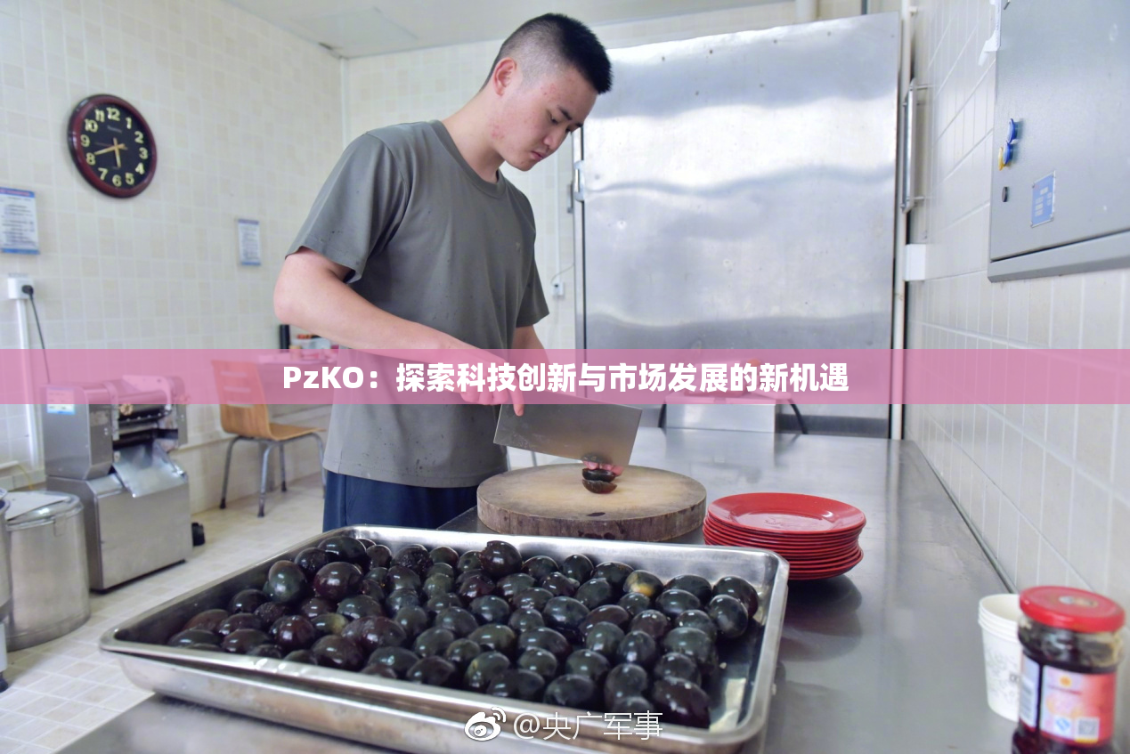 PzKO：探索科技创新与市场发展的新机遇