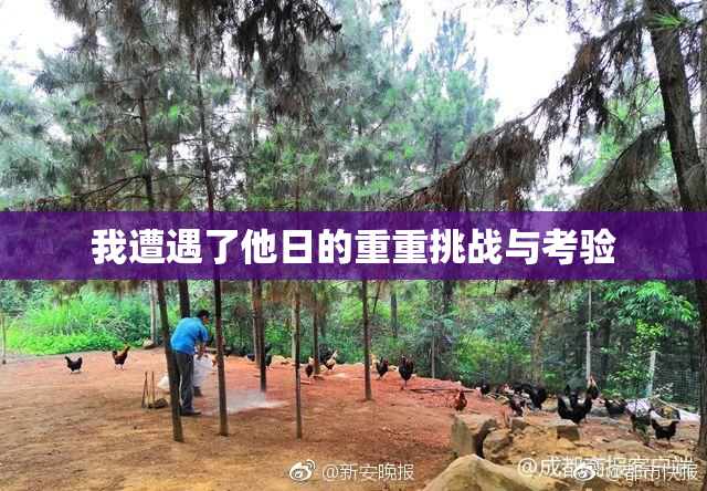我遭遇了他日的重重挑战与考验