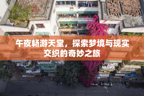 午夜畅游天堂，探索梦境与现实交织的奇妙之旅