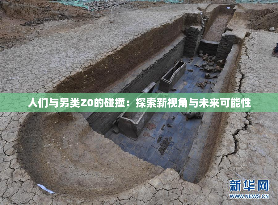 人们与另类Z0的碰撞：探索新视角与未来可能性