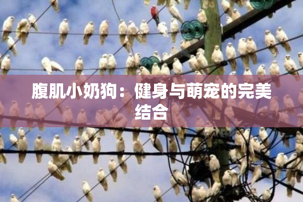 腹肌小奶狗：健身与萌宠的完美结合