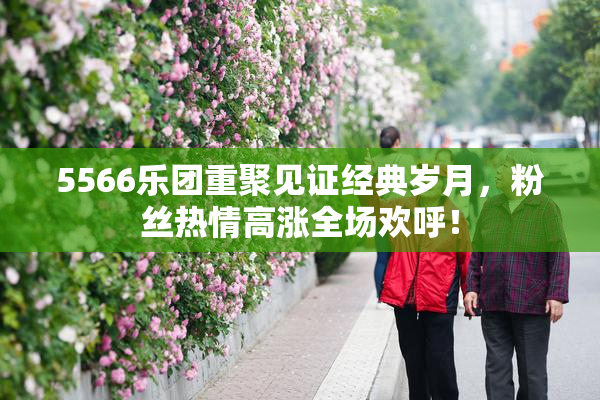 5566乐团重聚见证经典岁月，粉丝热情高涨全场欢呼！