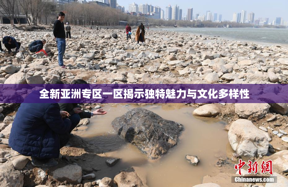 全新亚洲专区一区揭示独特魅力与文化多样性