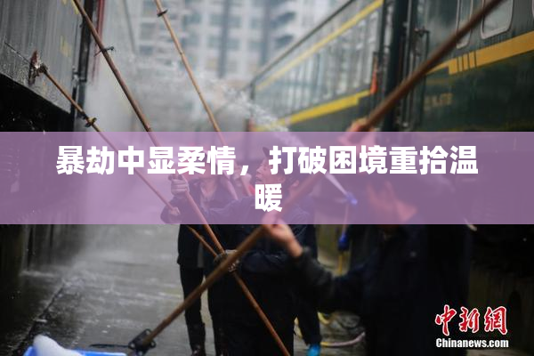 暴劫中显柔情，打破困境重拾温暖