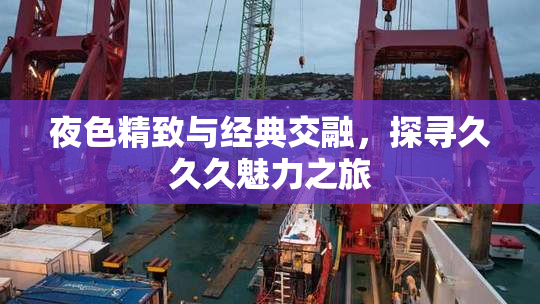 夜色精致与经典交融，探寻久久久魅力之旅