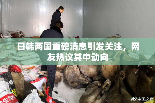 日韩两国重磅消息引发关注，网友热议其中动向
