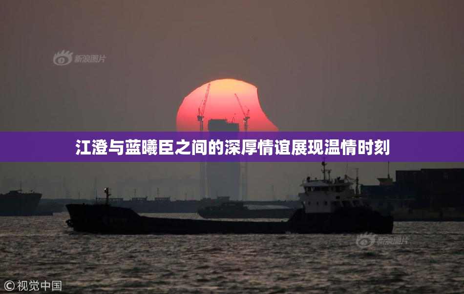 江澄与蓝曦臣之间的深厚情谊展现温情时刻
