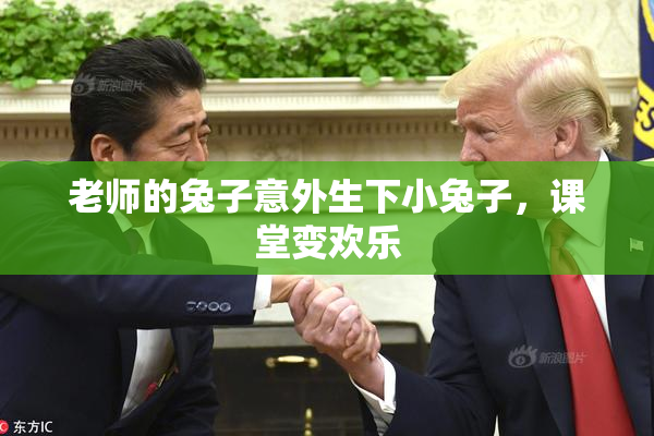 老师的兔子意外生下小兔子，课堂变欢乐