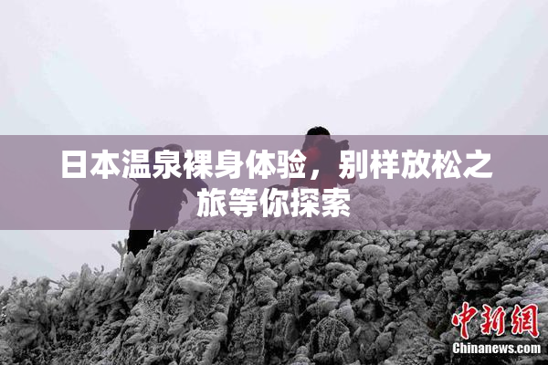 日本温泉裸身体验，别样放松之旅等你探索