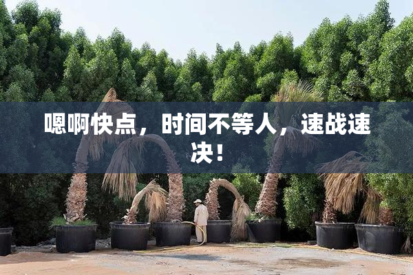 嗯啊快点，时间不等人，速战速决！