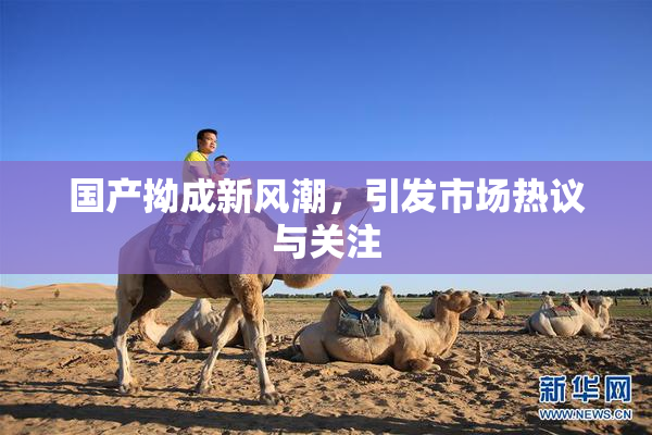 国产拗成新风潮，引发市场热议与关注