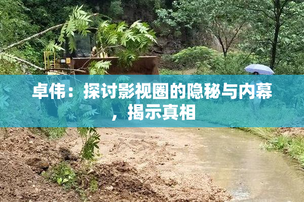 卓伟：探讨影视圈的隐秘与内幕，揭示真相