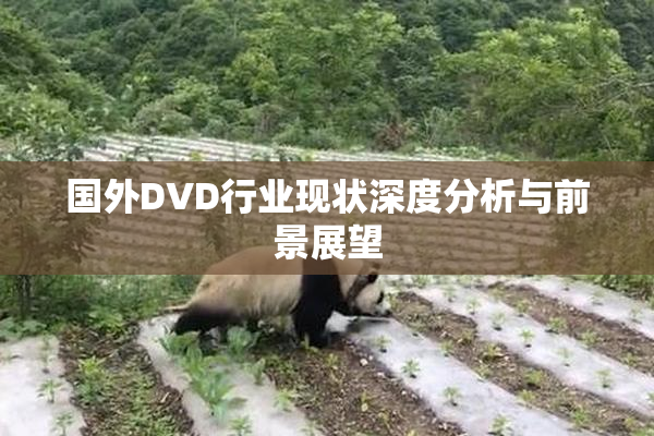 国外DVD行业现状深度分析与前景展望