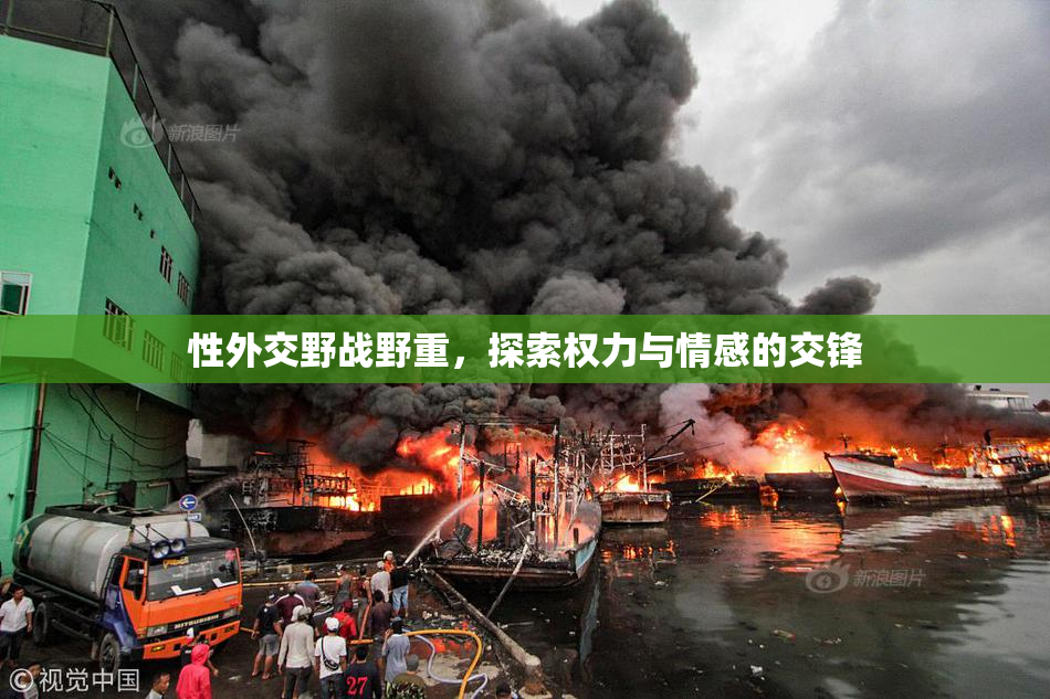 性外交野战野重，探索权力与情感的交锋