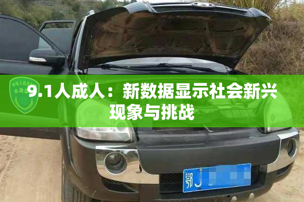 9.1人成人：新数据显示社会新兴现象与挑战