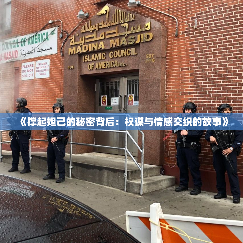 《撑起妲己的秘密背后：权谋与情感交织的故事》
