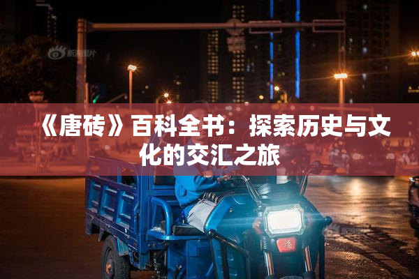 《唐砖》百科全书：探索历史与文化的交汇之旅