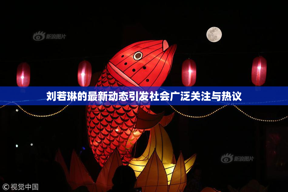 刘若琳的最新动态引发社会广泛关注与热议