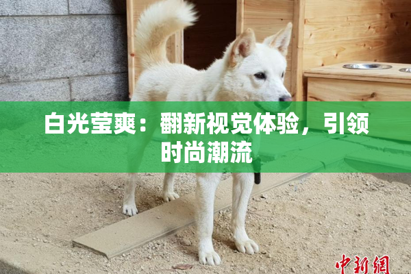 白光莹爽：翻新视觉体验，引领时尚潮流