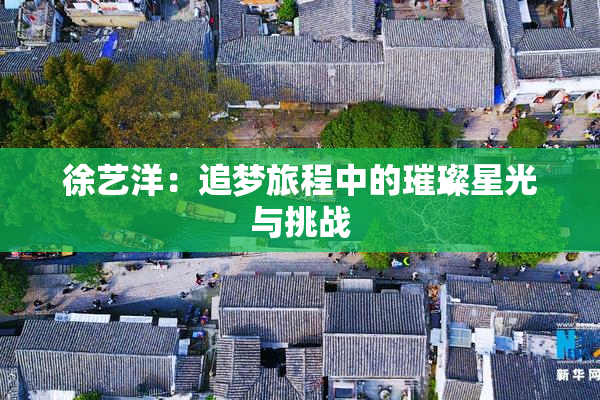 徐艺洋：追梦旅程中的璀璨星光与挑战