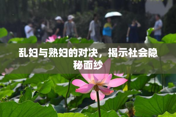 乱妇与熟妇的对决，揭示社会隐秘面纱