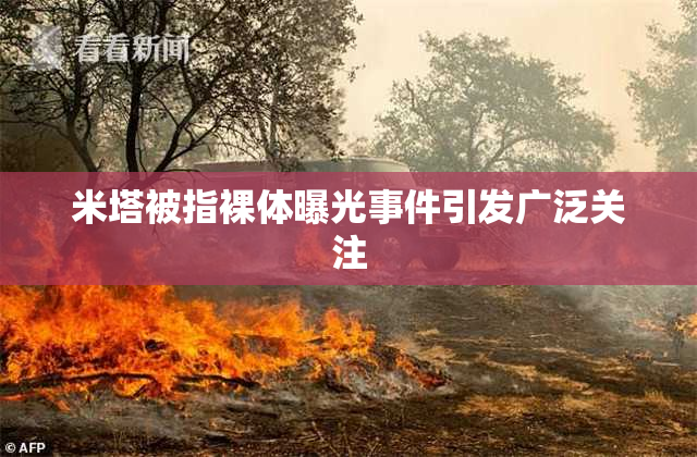 米塔被指裸体曝光事件引发广泛关注