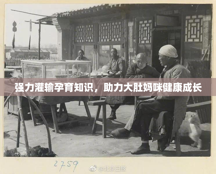 强力灌输孕育知识，助力大肚妈咪健康成长
