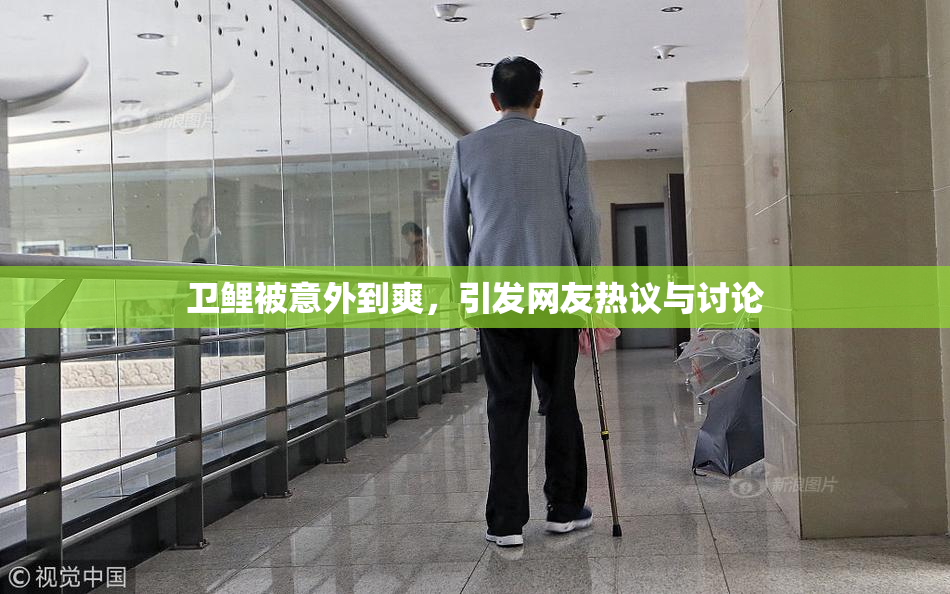 卫鲤被意外到爽，引发网友热议与讨论